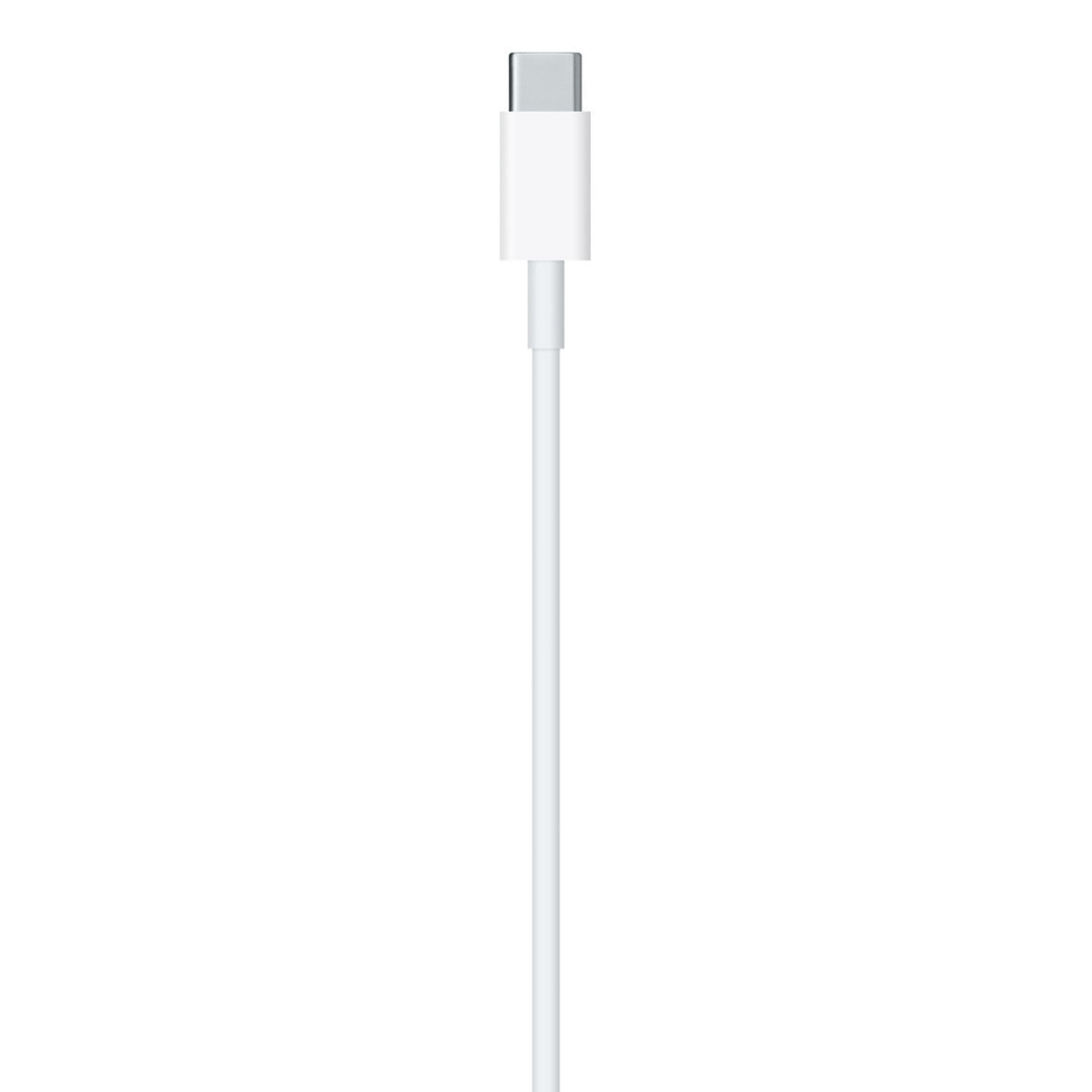 Apple MacBook 96W Charger A2166 with Apple USB-C Charge Cable